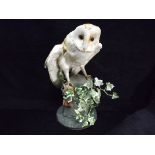 Attributed to GB Jack Crewdson - Barn Owl Dumfries Scotland 1992 Taxidermy - Barn Owl. 20th