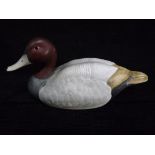 North America / Canada - Duck Decoy - Drake Canvasback (similar to Drake Redhead) model hunting