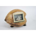 Vintage 1950s Nut Ship DIORAMA Within Celluloid Frame
