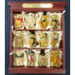 Vintage "The Teddy Bear Museum" SHOWCASE With 12 Miniature Mohair Jointed BEARS // Approx Showcase