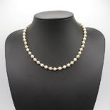9ct gold and pearl necklace. 9ct gold clasp. 16 inches long 13.6g weight