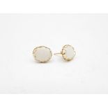 14ct Gold White Opal Oval Stud Earrings (1.1g)