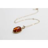 9ct Gold Amber Pendant Necklace (2g)