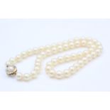 9ct Gold Diamond & Cultured Pearl Clasp Cultured Pearl Single Strand Necklace (36.8g)