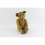1912 British Prototype Yellow Mohair Jointed Teddy Bear Inc Stitched Claws Etc // Inc Growler, Glass