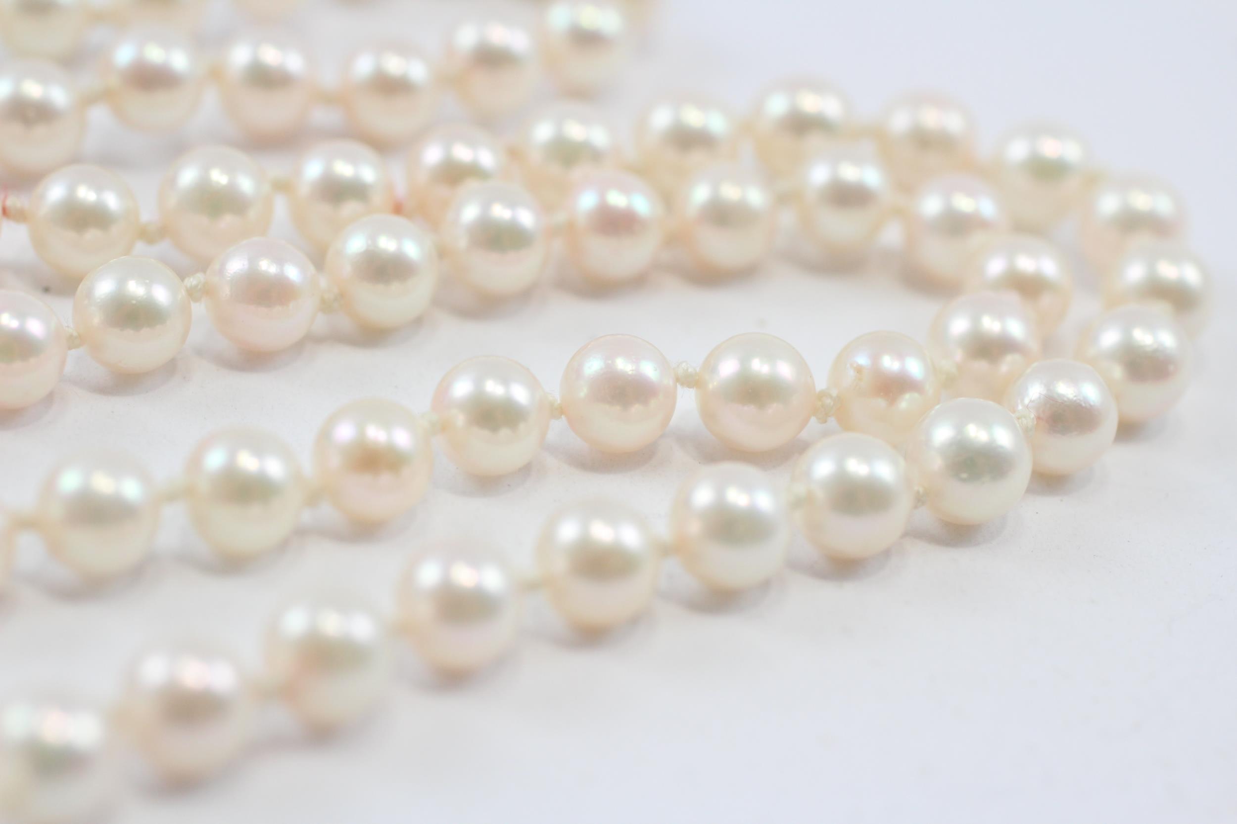 9ct Gold Clasp Pearl & Sapphire Single Strand Necklace (39g) - Image 7 of 7