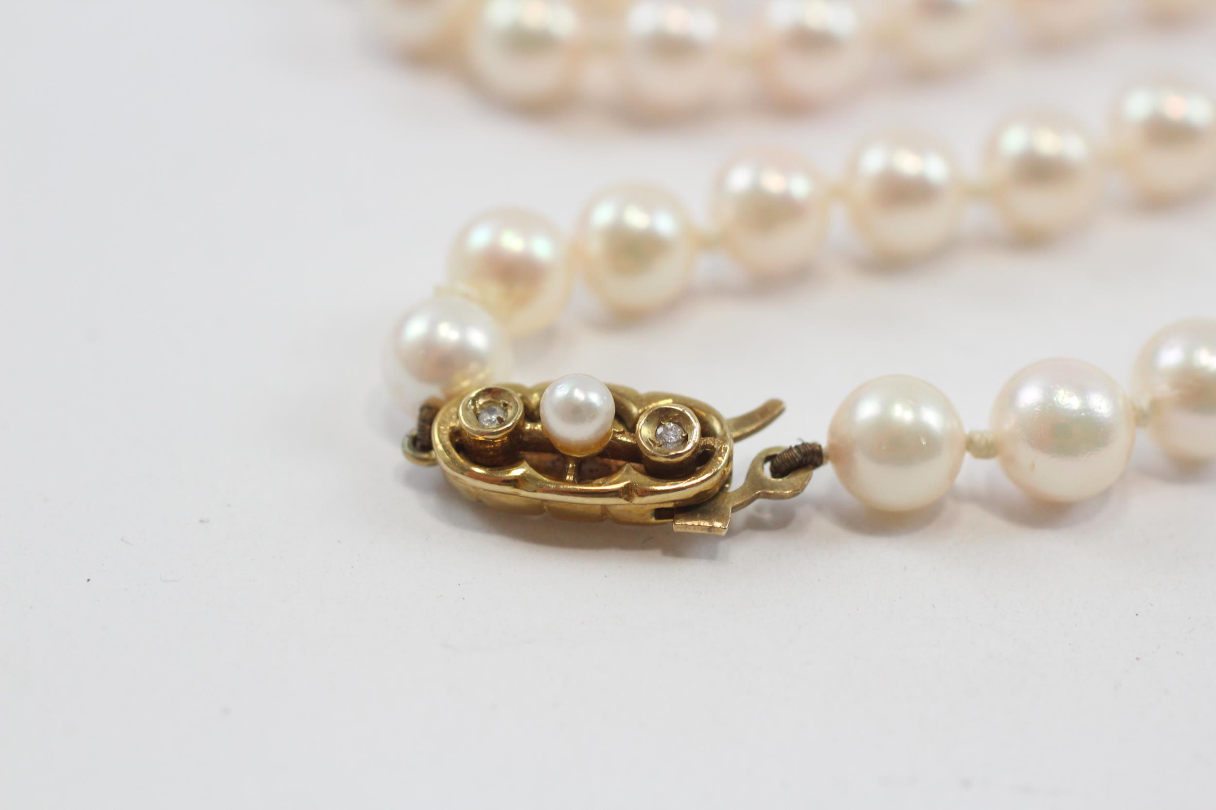 9ct Gold Clasp Pearl & Sapphire Single Strand Necklace (39g) - Image 2 of 7