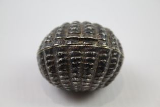 Antique Victorian 1883 Birmingham Sterling Silver Shell Form Nutmeg Grater (20g) // Maker -