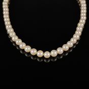 Akoya-Zuchtperlenkette, 585/14K Weißgold, Gesamtgewicht 39,3g, lange Perlenkette aus weißen, ebenmä