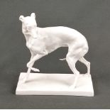 Greyhound, Nymphenburg, white porcelain, on rectangular base, on the bottom blind mark and form 437