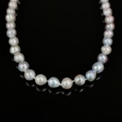 Barocke naturgraue Akoya-Perlenkette, Silber 835 (punziert), 28,4g, Perlenkette aus naturgrauen, le