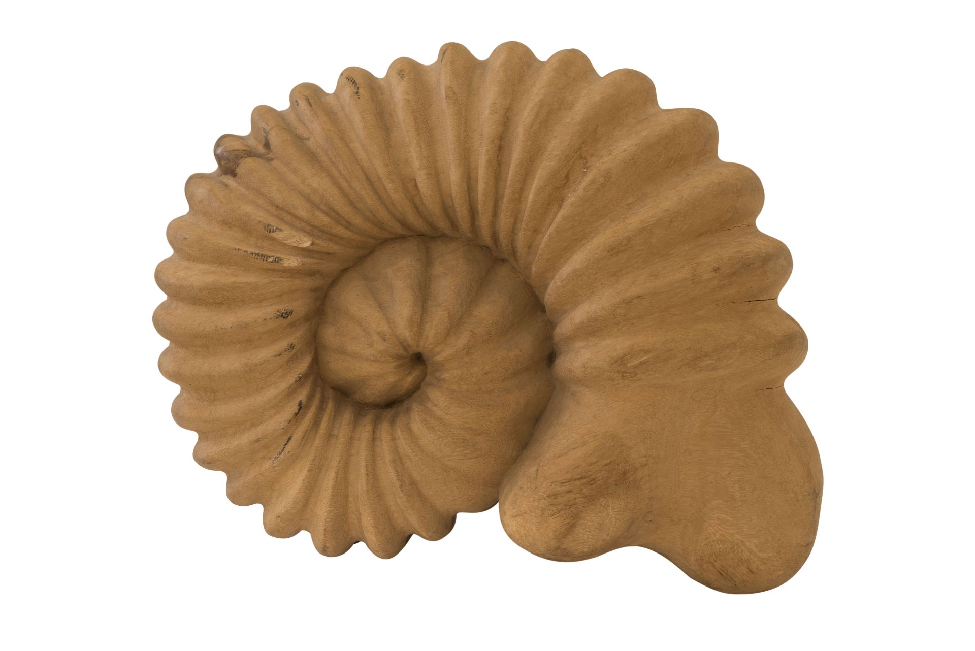 Holzfigur Ammonit | Wooden Figure Ammonite