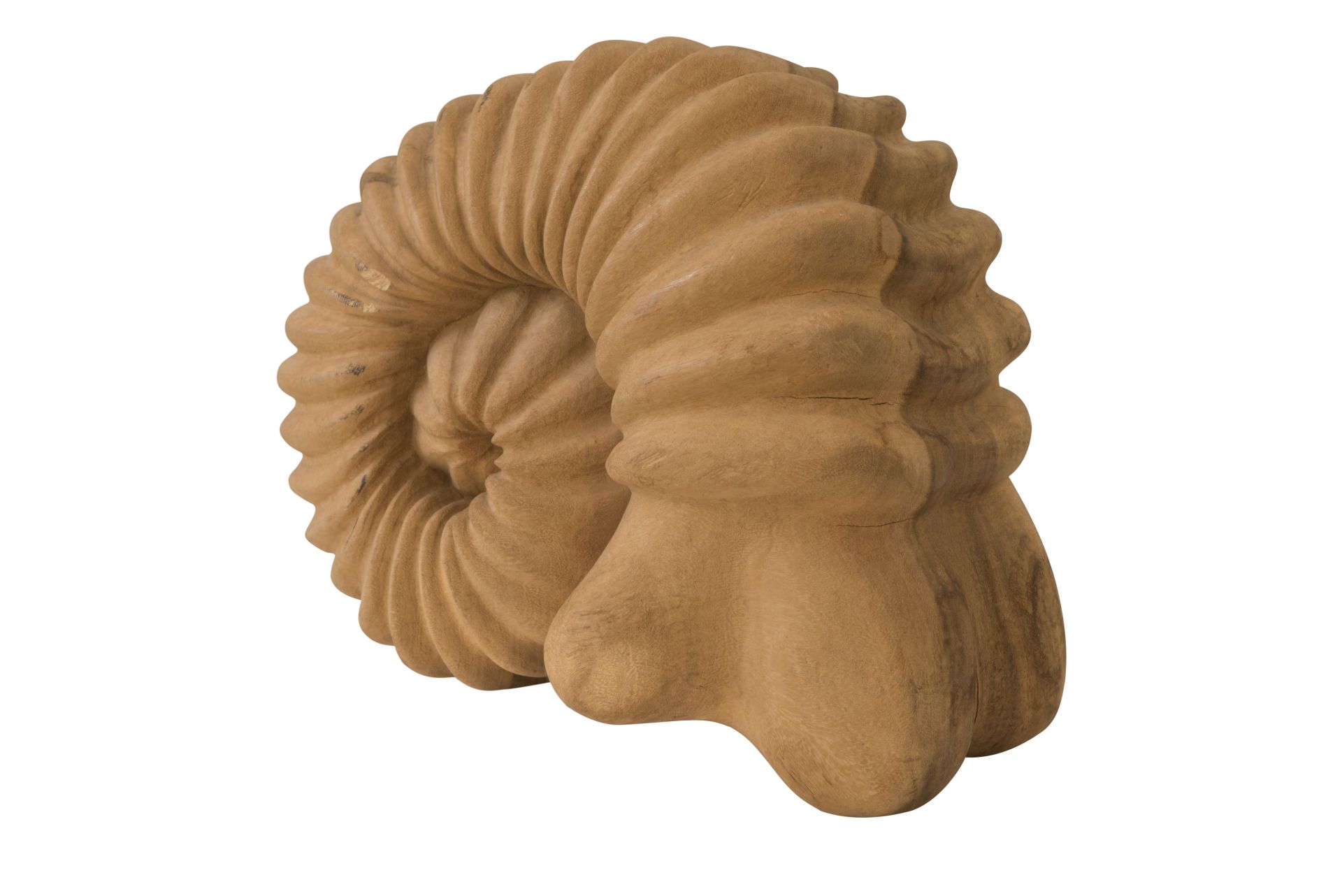 Holzfigur Ammonit | Wooden Figure Ammonite - Image 2 of 5