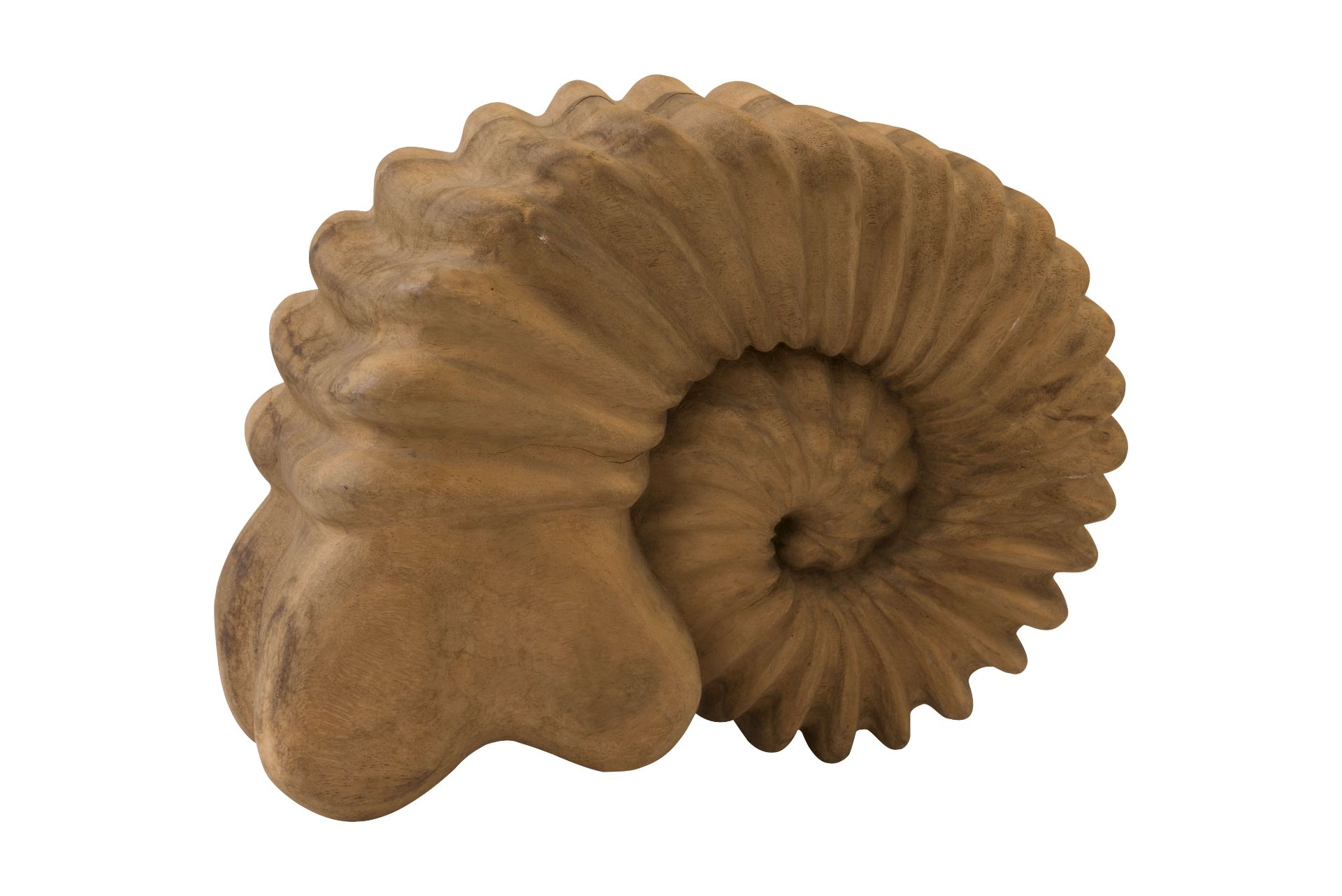 Holzfigur Ammonit | Wooden Figure Ammonite - Image 4 of 5