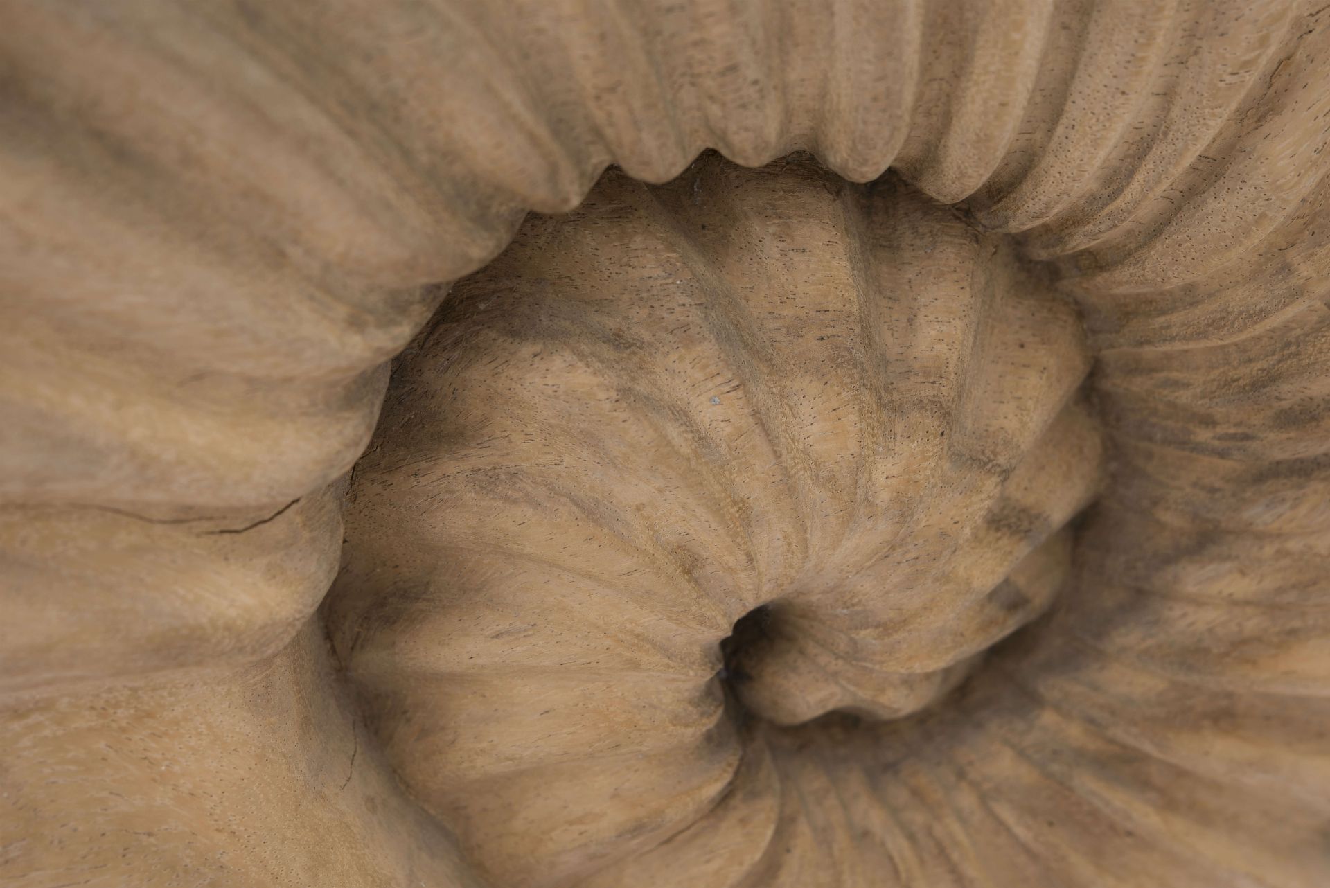 Holzfigur Ammonit | Wooden Figure Ammonite - Image 5 of 5