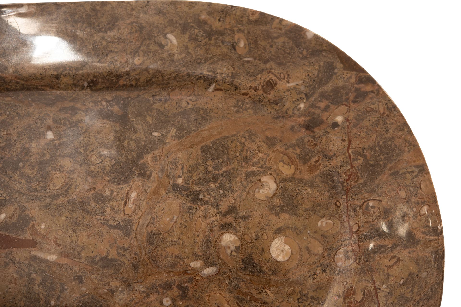 2 Marmorteller mit versteinerten Schalentieren | 2 Marble Plates with Fossilized Shellfish - Image 3 of 5