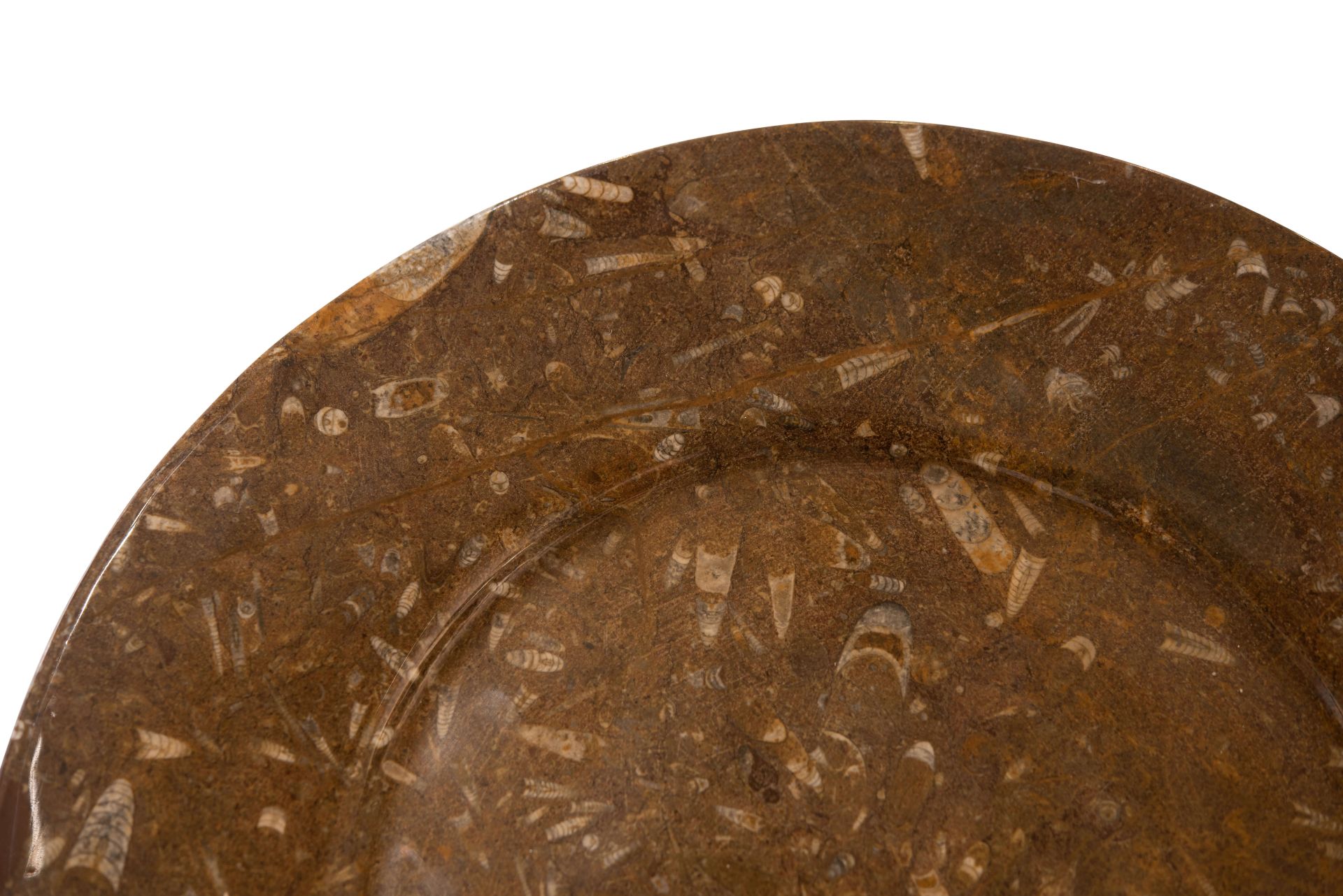 2 Marmorteller mit versteinerten Schalentieren | 2 Marble Plates with Fossilized Shellfish - Image 5 of 5