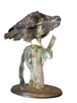 Mäusebussard u. Beute | Taxidermy