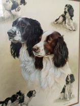 Setter | Nigel Hemming | Hunde