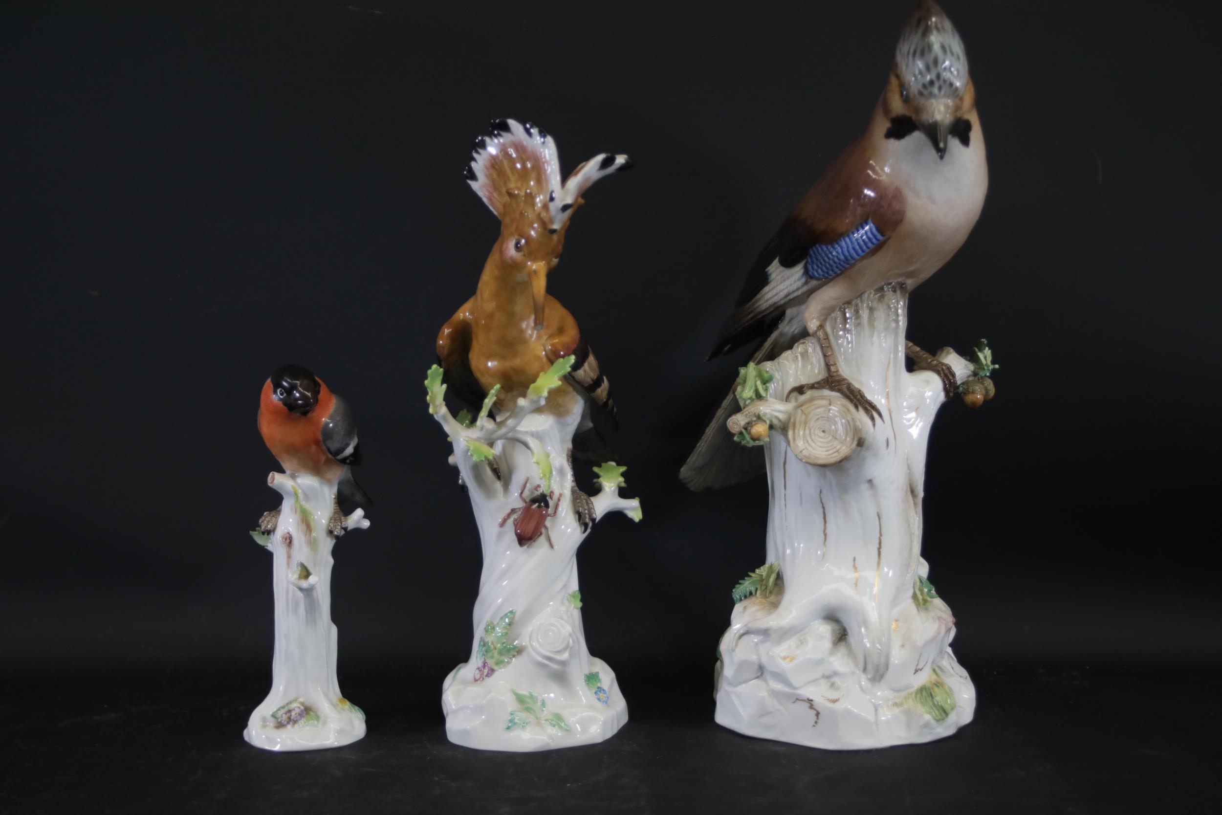 Three Antique Meissen Porcelain Figures of Birds