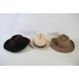 A Collection of 3 Hats