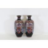 Pair of Japanese Meiji Period Cloisonne Bottle Vases