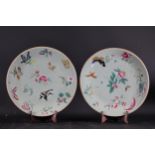 Pair of Ground Celadon Painted Enamel Chinese Plates
