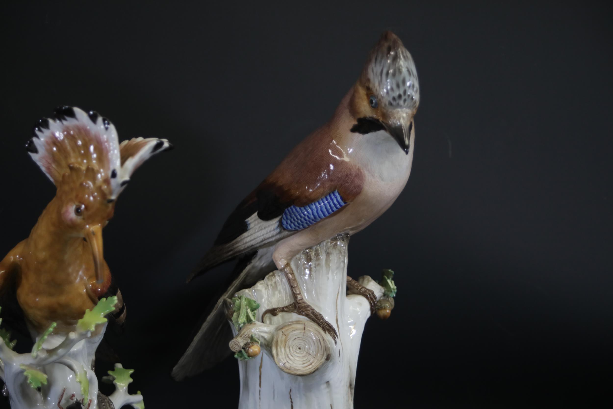 Three Antique Meissen Porcelain Figures of Birds - Image 2 of 34