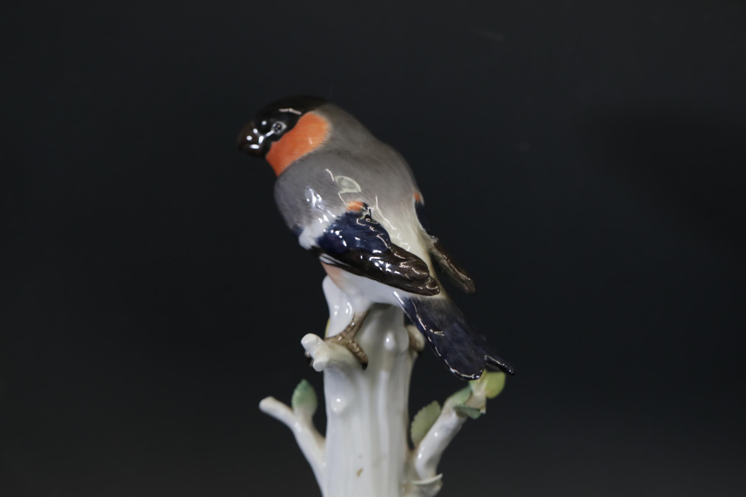 Three Antique Meissen Porcelain Figures of Birds - Image 28 of 34