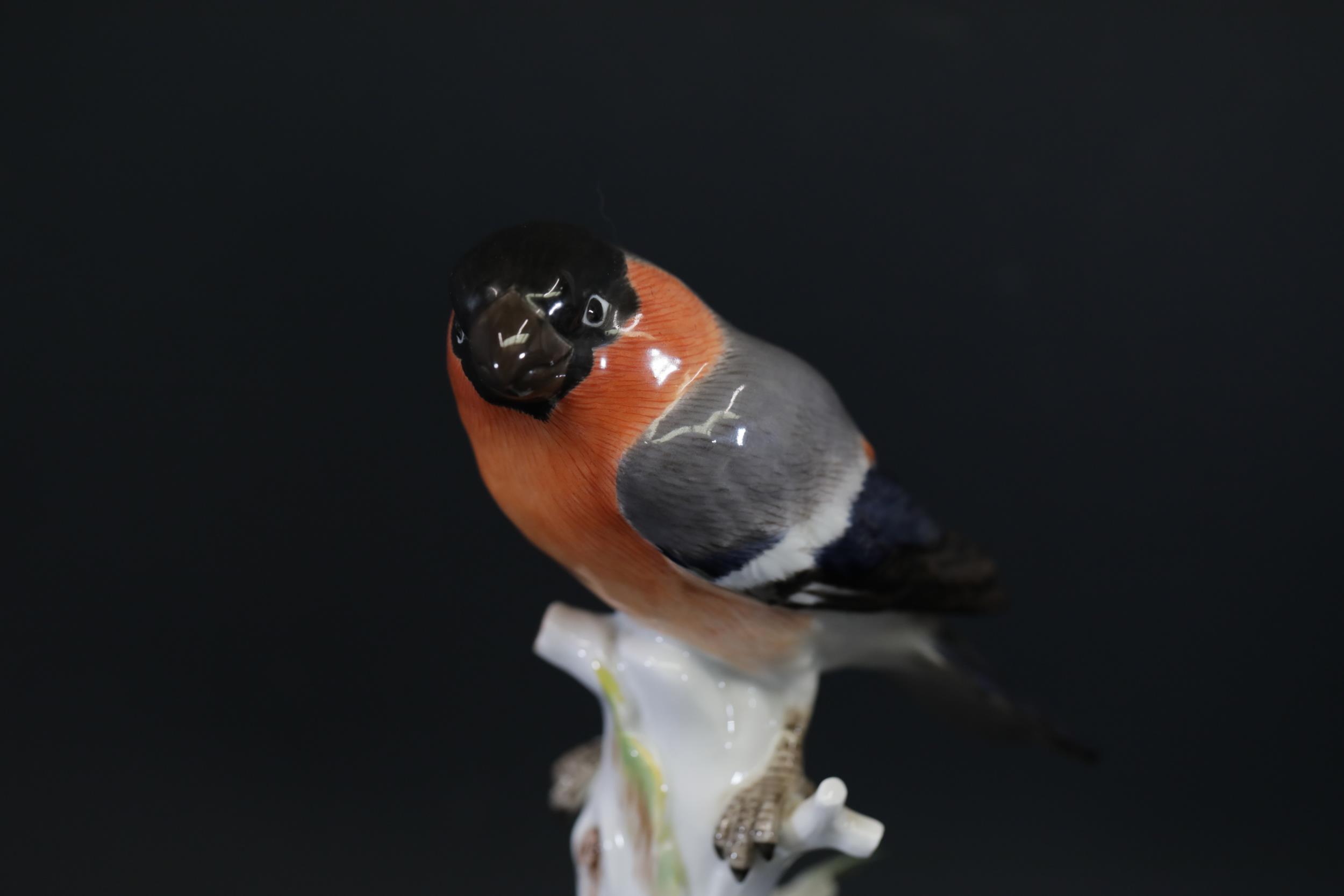 Three Antique Meissen Porcelain Figures of Birds - Image 26 of 34