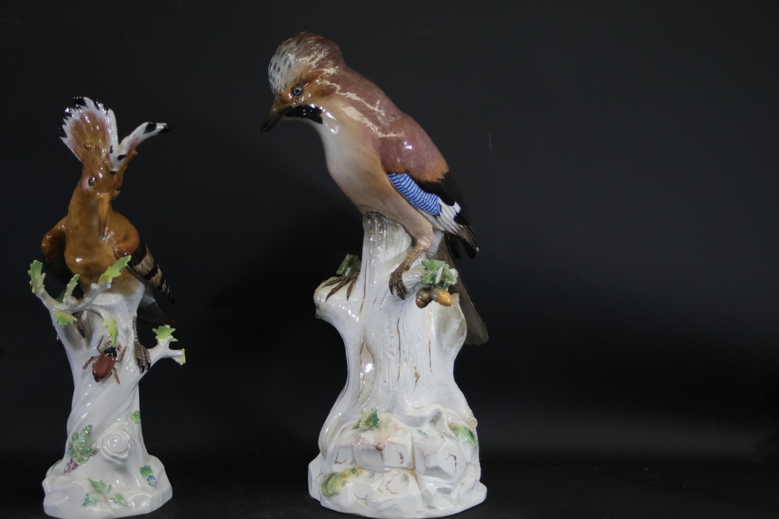 Three Antique Meissen Porcelain Figures of Birds - Image 4 of 34