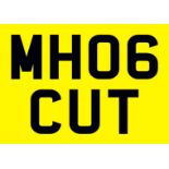 &nbsp; MH06 CUT Registration number