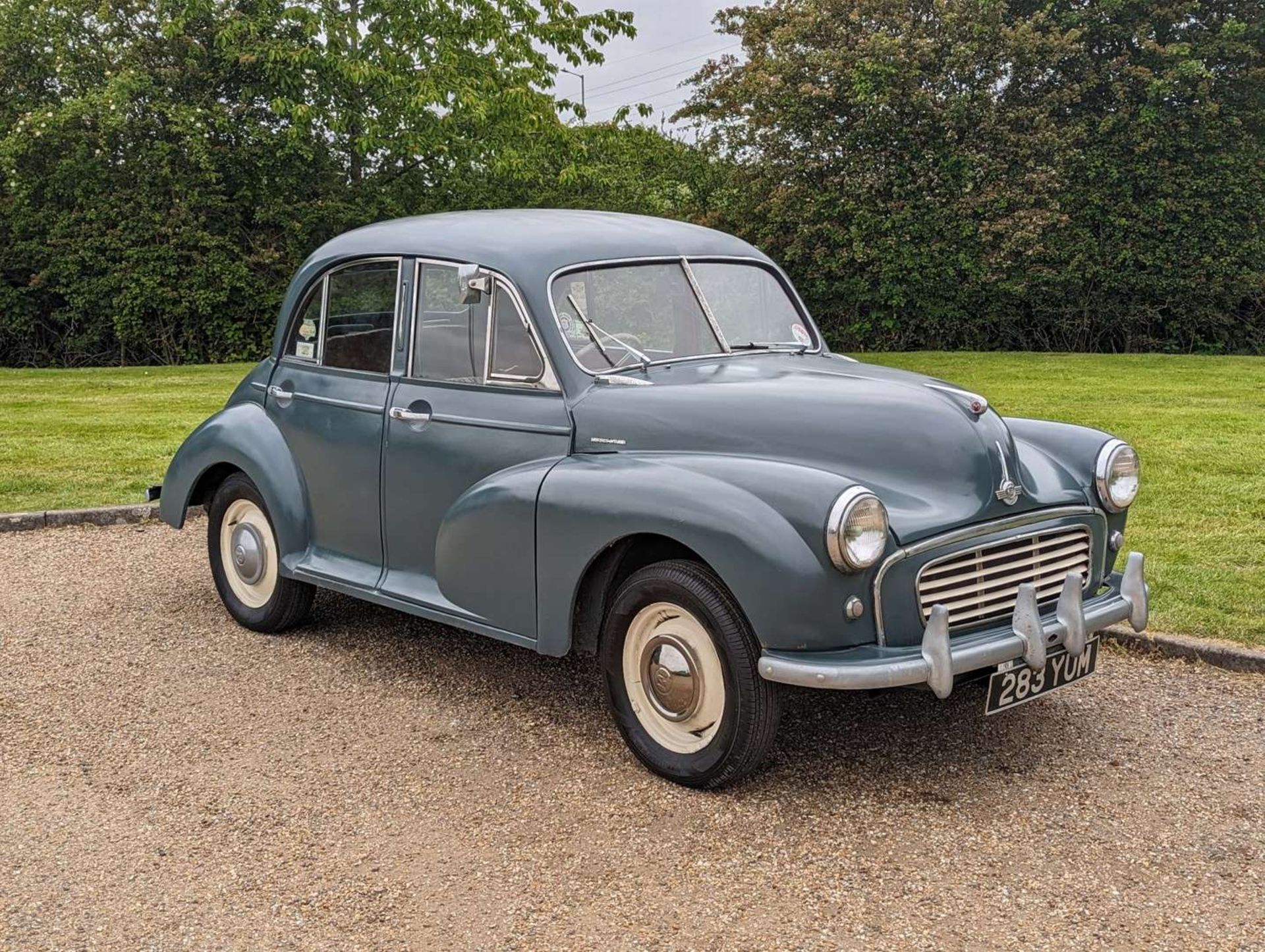 1955 MORRIS MINOR