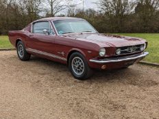 1965 FORD MUSTANG 5.0 V8 FASTBACK AUTO LHD
