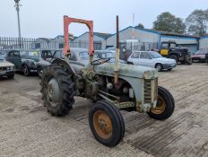 1954 FERGUSON TEF DIESEL&nbsp;