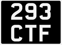 &nbsp; 293 CTF Registration Number&nbsp;
