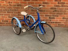 Raleigh Lion Child's Tricycle&nbsp;