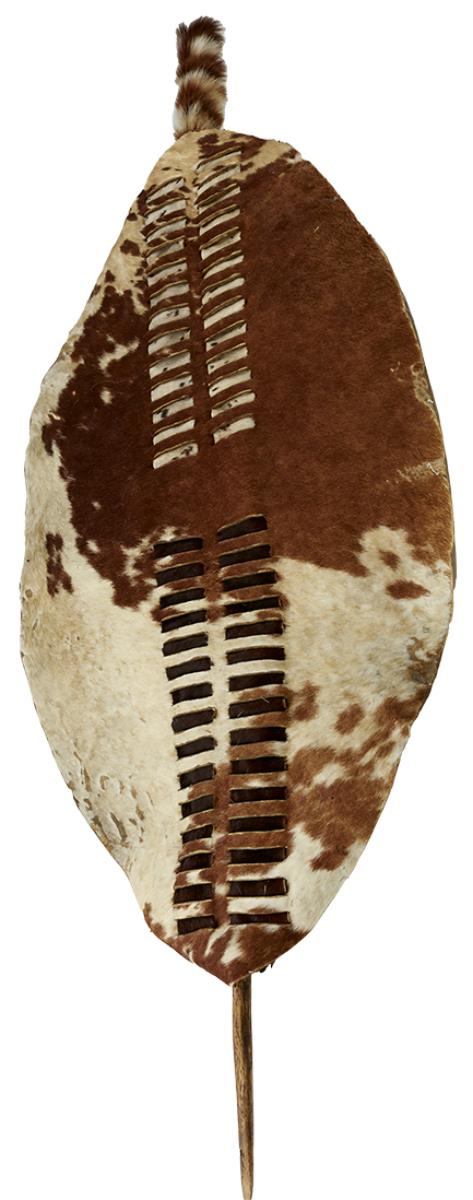 A ZULU HIDE SHIELD, the oval cattle hide shield with rectangular slit decoration to the front with