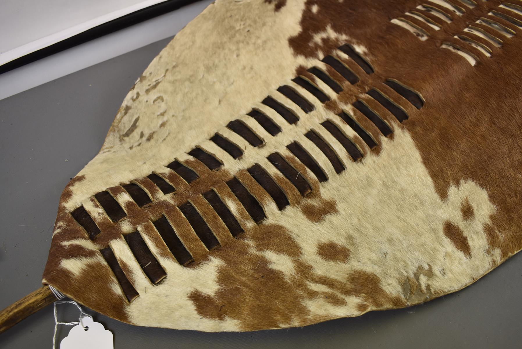 A ZULU HIDE SHIELD, the oval cattle hide shield with rectangular slit decoration to the front with - Image 3 of 8