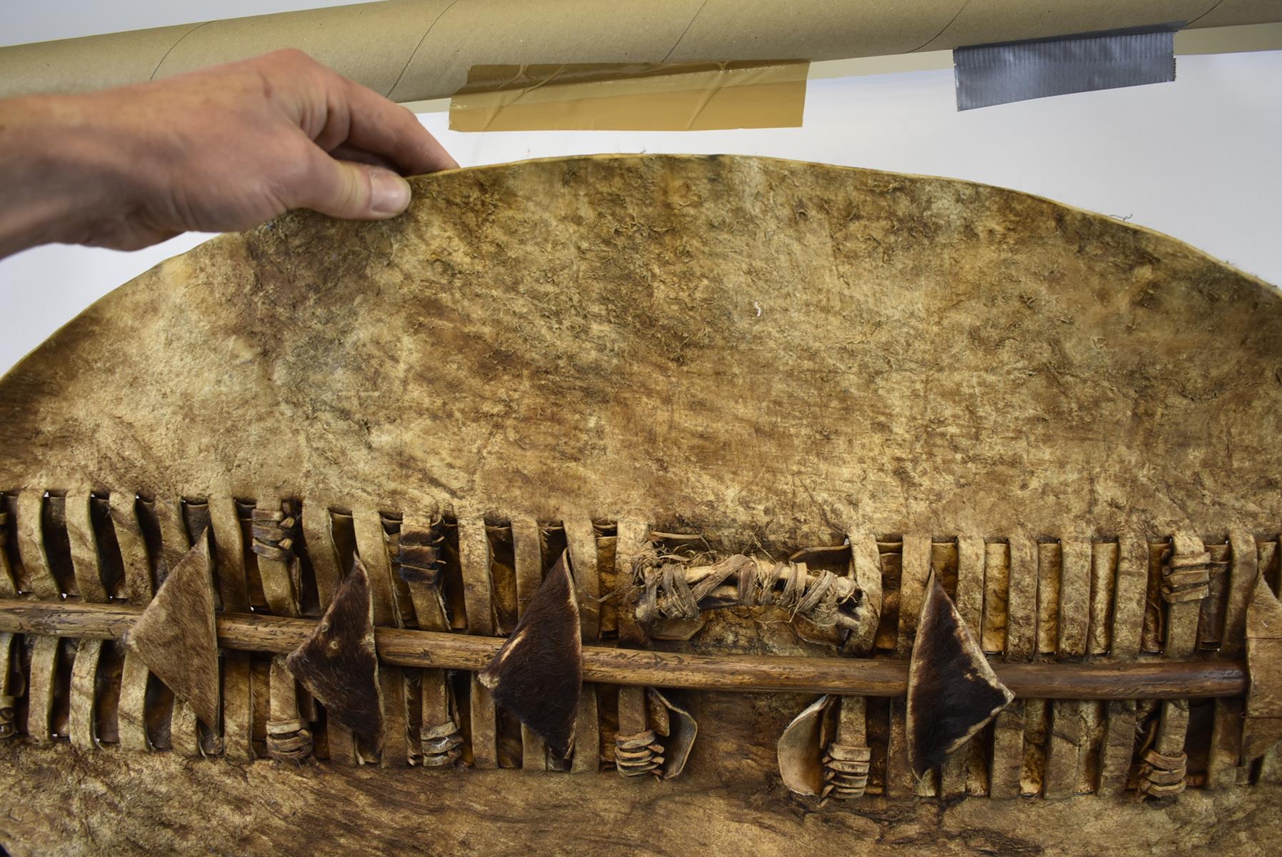 A ZULU HIDE SHIELD, the oval cattle hide shield with rectangular slit decoration to the front with - Image 6 of 8