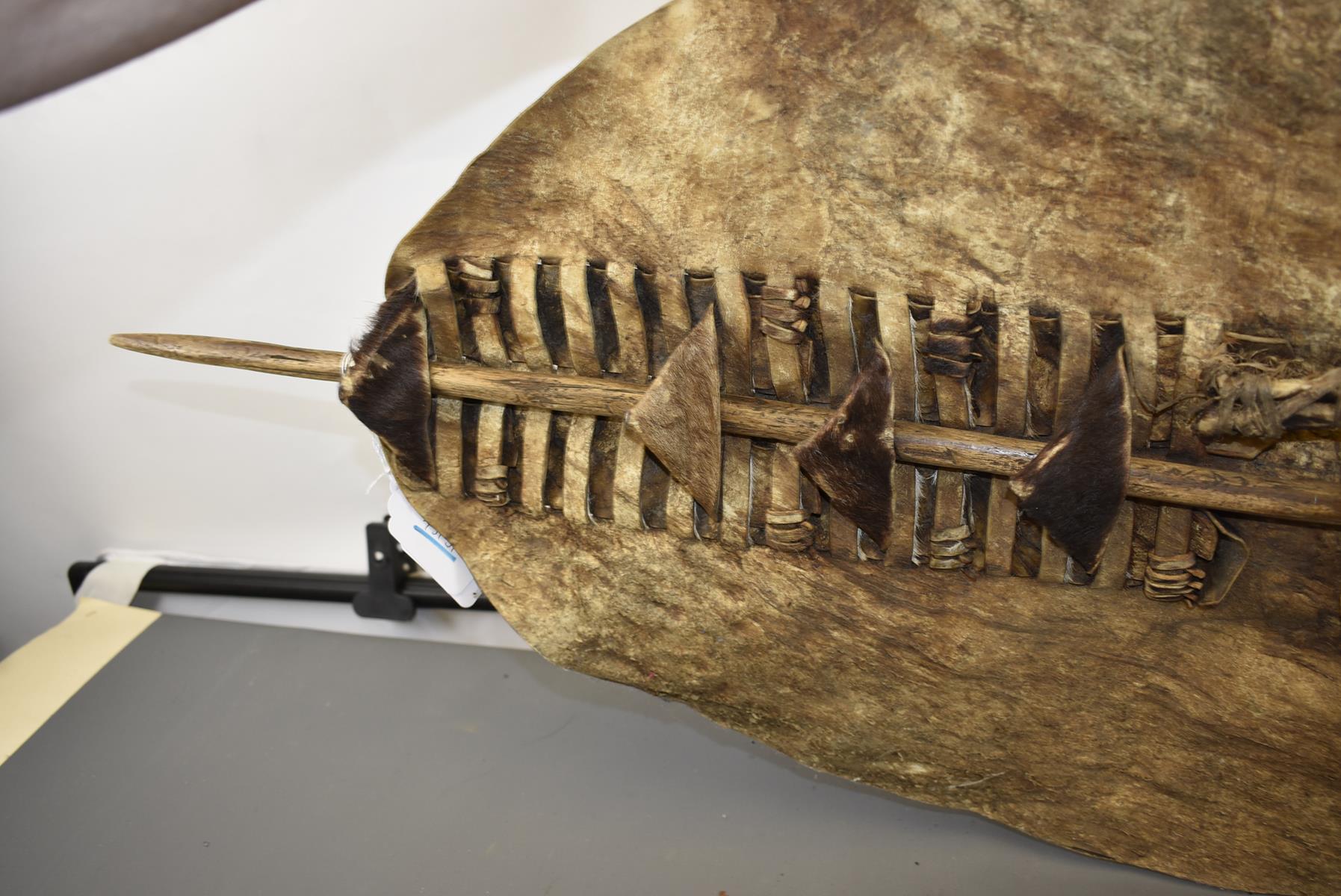 A ZULU HIDE SHIELD, the oval cattle hide shield with rectangular slit decoration to the front with - Image 7 of 8