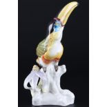 Meissen Tukan Pfefferfresser 1.Wahl, Guianan toucanet 1st choice,