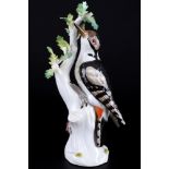 Meissen Buntspecht Vogel 1.Wahl, great spotted woodpecker bird 1st choice,
