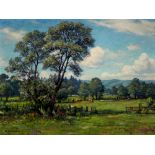 Maximilian Klein von Diepold (1873-1949) grasende Kühe in Weidelandschaft, grazing cows pasture land