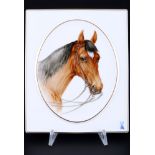 Meissen Bildplatte Pferdeportrait 1.Wahl, picture wall plate with horse portrait 1st choice,