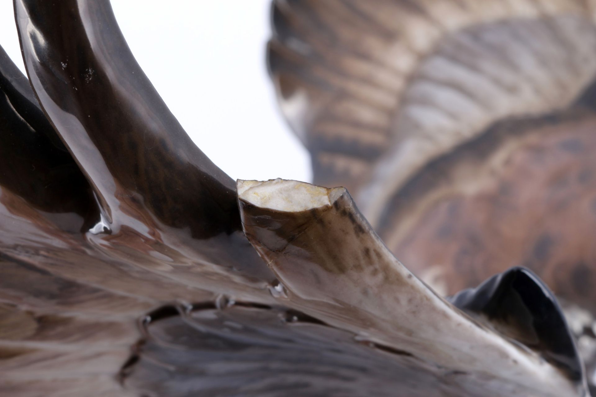 Rosenthal aufsteigender Adler, ascending eagle, - Bild 7 aus 8