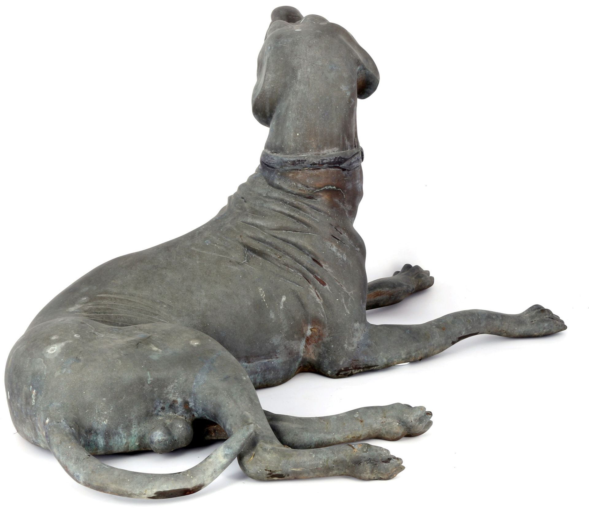 Bronze lebensgroßer liegender Hund Weimaraner Skulptur, large lying dog Weimaraner sculpture, - Bild 4 aus 4