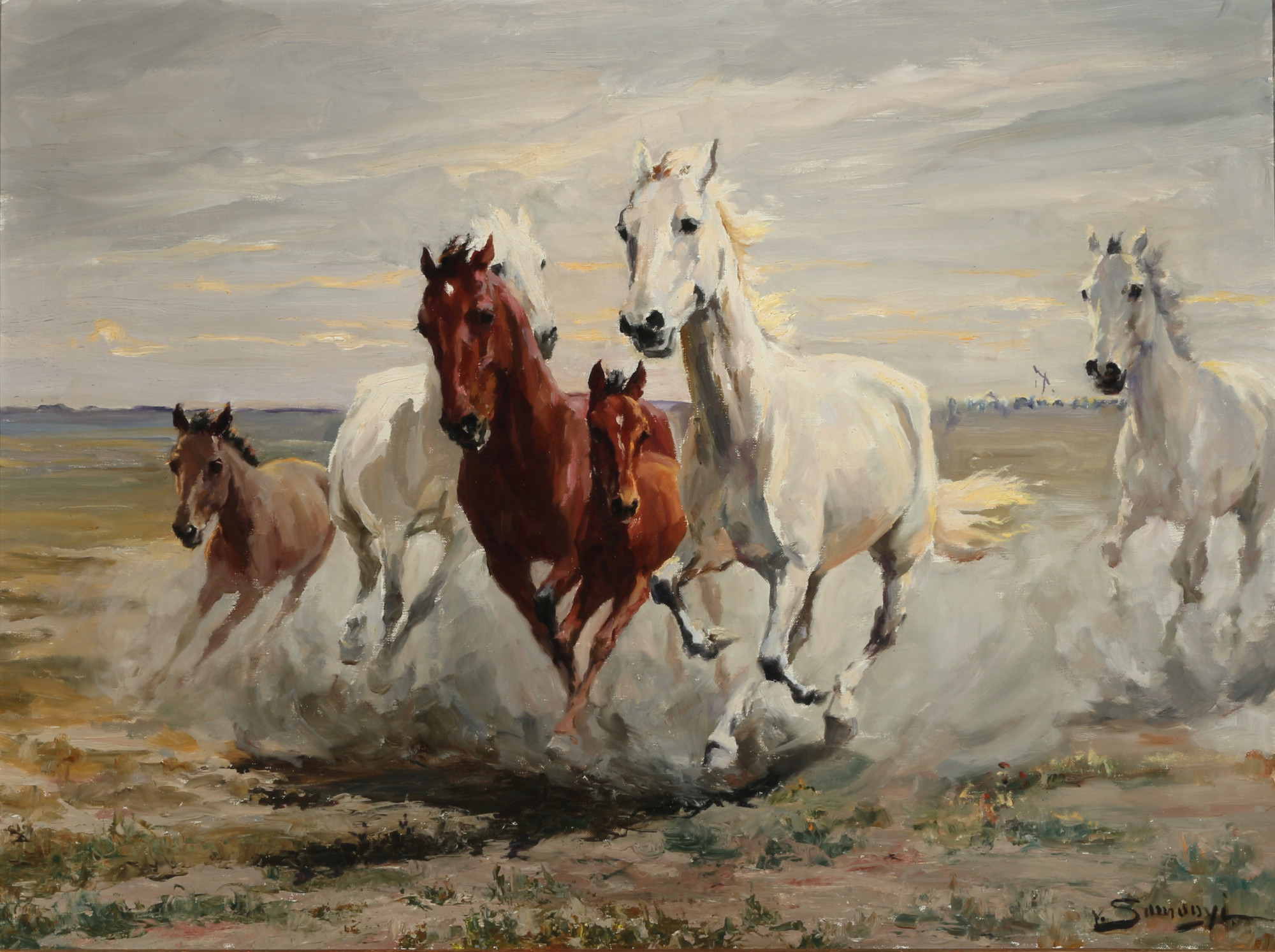 Unknown painter, wild horses, signed, Unbekannter Maler, Wildpferde, signiert,