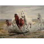 Unbekannter Maler, Wildpferde, signiert, unknown painter, wild horses, signed,