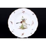 Meissen 18. Jahrhundert Vogelmalerei mit Insekten Speiseteller, dinner plate 18th century,